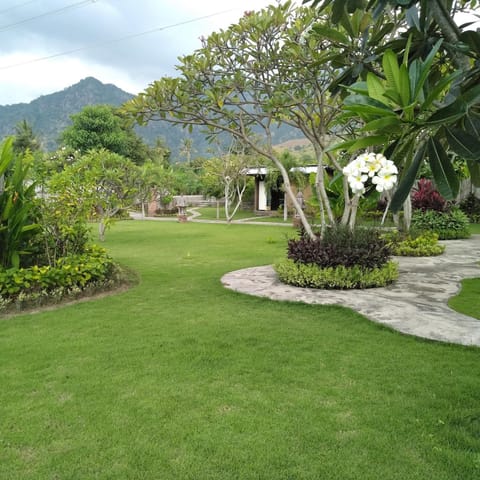 Garden, Mountain view