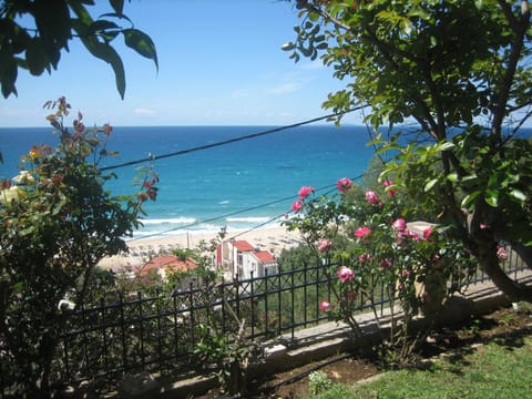 Spring, Garden, Sea view, Sea view