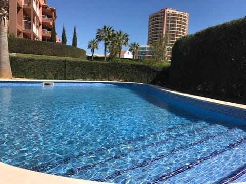 Garden, Swimming pool