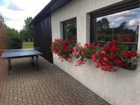 Facade/entrance, Table tennis