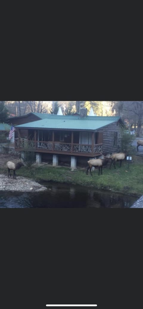 Qualla Cabins and Motel Cherokee near Casino Cabin in Cherokee
