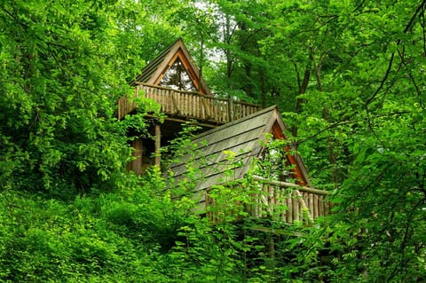 Property building, Natural landscape
