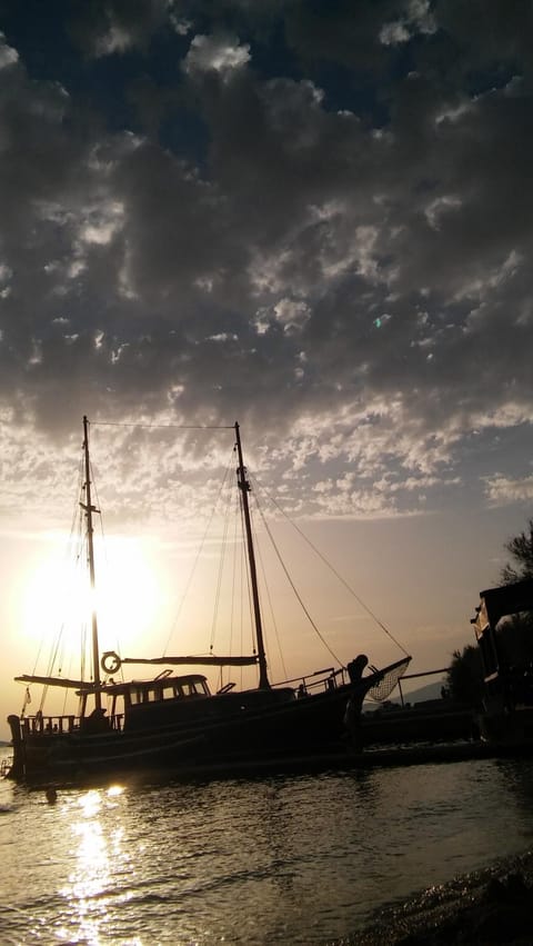 Studioapartman Loris Apartment in Šibenik-Knin County, Croatia