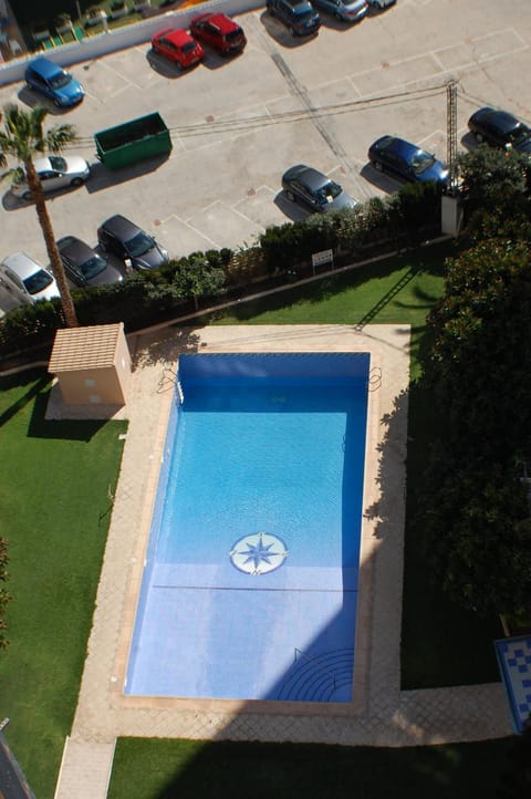 Swimming pool, Swimming pool