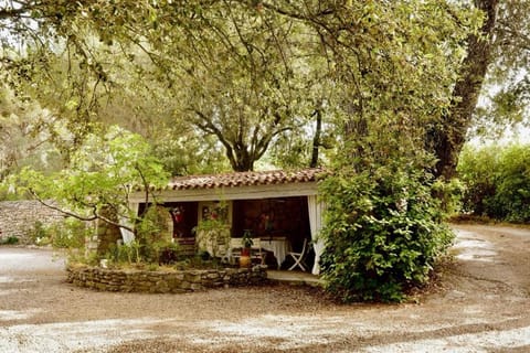Villa Le Niaouli House in Lorgues