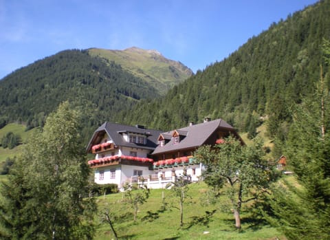 Property building, Summer