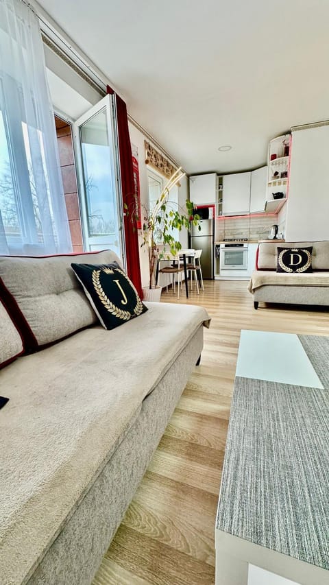 Bed, Kitchen or kitchenette, Living room, Photo of the whole room, Seating area, Dining area