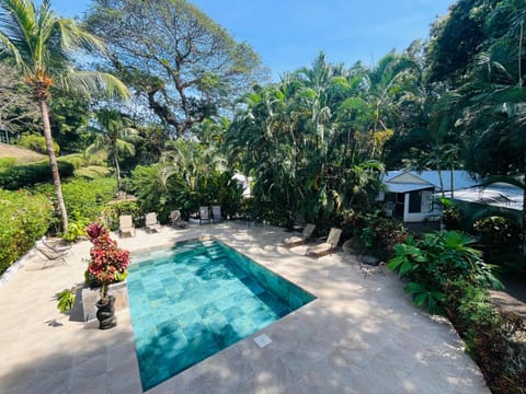 Garden, Garden view, Pool view, Swimming pool