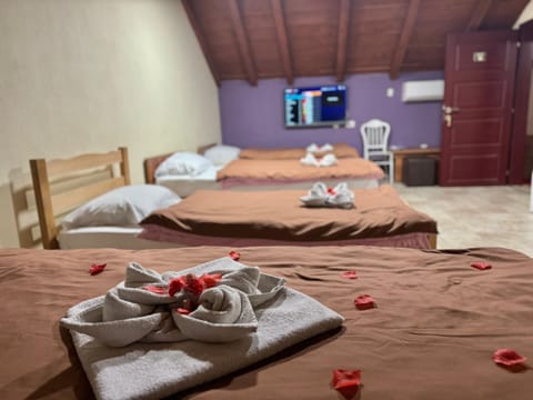 Hotel Atika Motel in Skopje