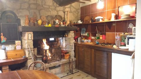 Food close-up, Communal kitchen, Family