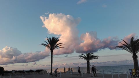 Property building, Natural landscape, Beach