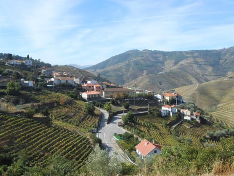 City view