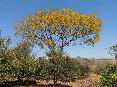 Pousada Sitio da Serra Inn in State of Rio de Janeiro