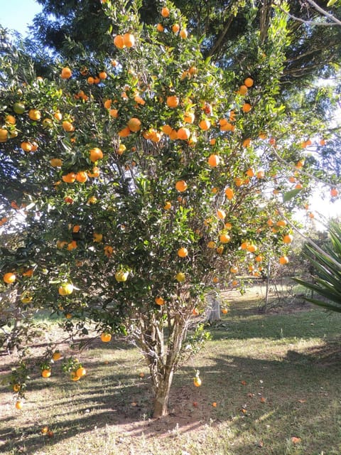 Pousada Sitio da Serra Inn in State of Rio de Janeiro