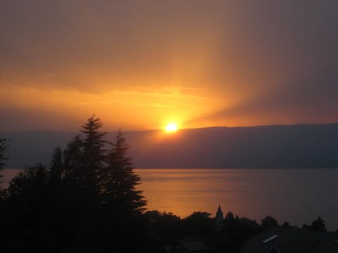 Le bois ramé House in Évian-les-Bains