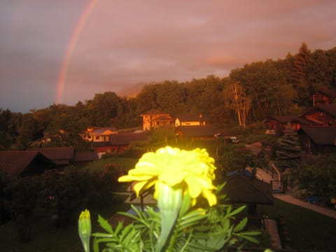 Le bois ramé House in Évian-les-Bains