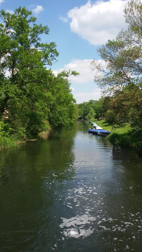 Natural landscape, Area and facilities