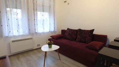 Apartman "Dunja" Banja Luka Apartment in Federation of Bosnia and Herzegovina