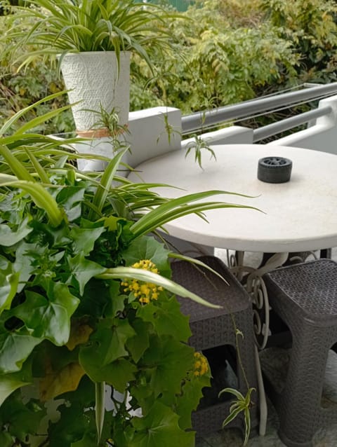 Property building, Day, Garden, Balcony/Terrace, Dining area, Garden view