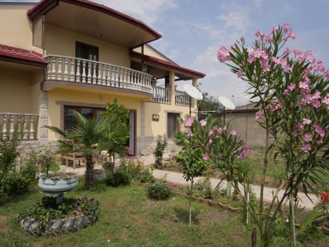 Property building, Garden, Garden view