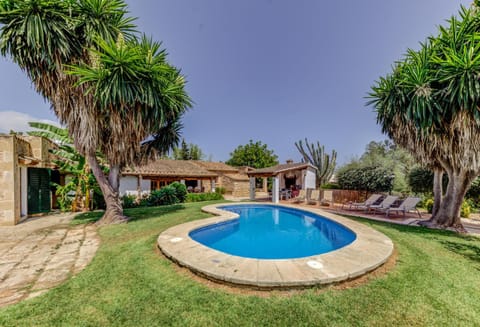 Property building, Garden, Swimming pool, sunbed