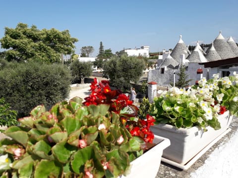Casa tra i Trulli House in Province of Taranto