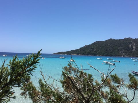 Beach, Beach, On site, Area and facilities