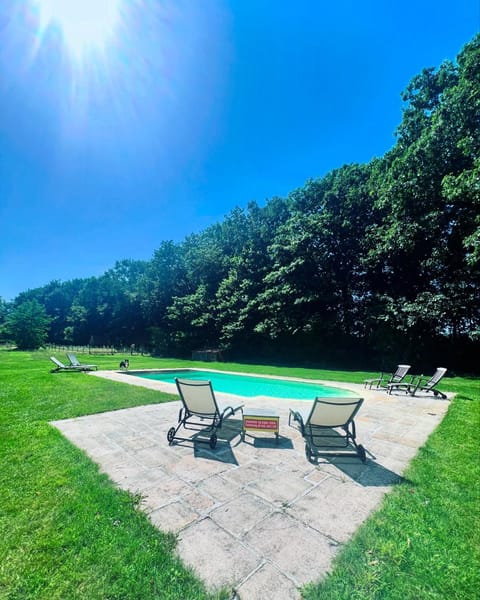 Garden, Garden, Swimming pool, sunbed