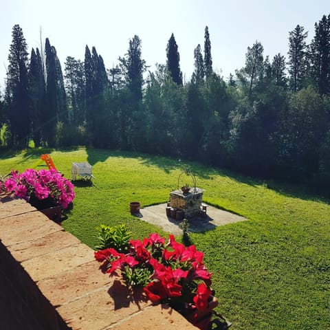 Garden view