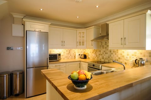 Kitchen or kitchenette, dishwasher, oven, stove, toaster