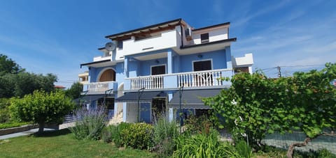 Property building, Day, Garden