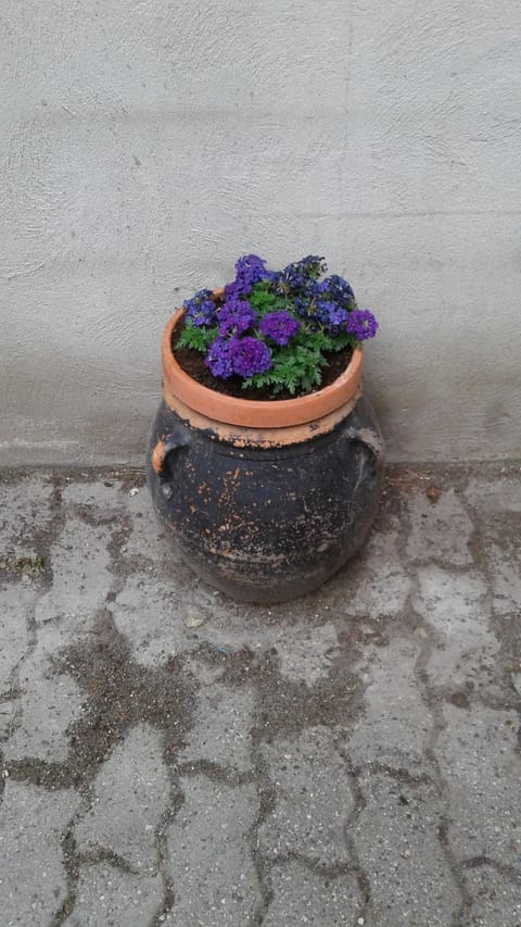 Martorey CIR 10 Apartment in Aosta Valley, Italy