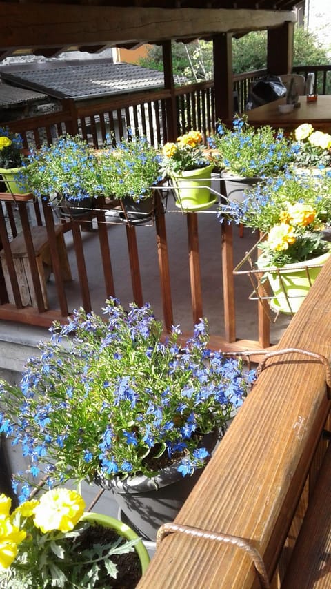 Martorey CIR 10 Apartment in Aosta Valley, Italy