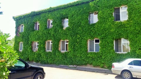 Facade/entrance, Spring