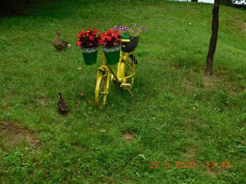 Garden, Decorative detail