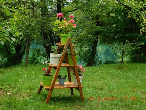 Garden, Decorative detail