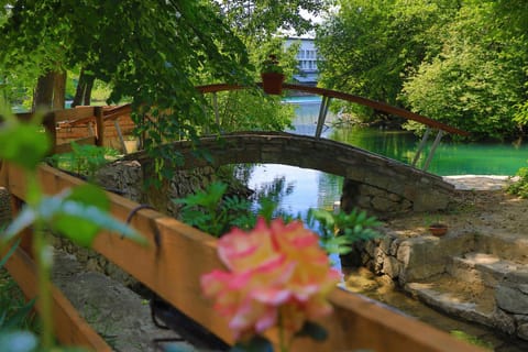 Natural landscape, River view