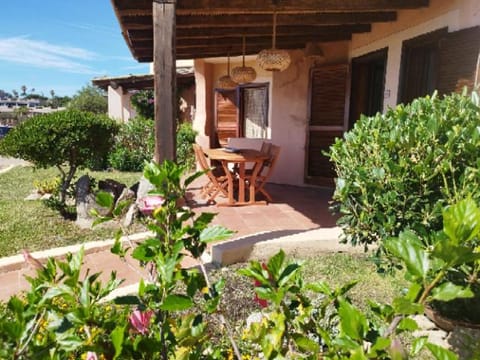 Patio, Garden, Garden view
