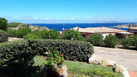 Garden, Sea view
