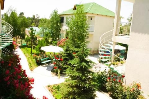 Neighbourhood, Natural landscape, Garden, Garden view, Street view