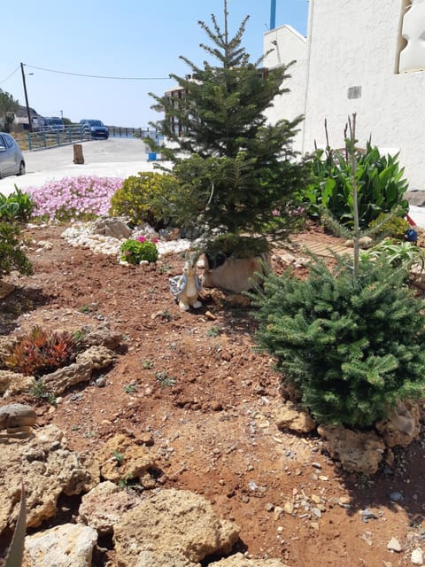 Facade/entrance, Natural landscape, Garden