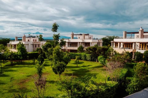 Natural landscape, Garden view
