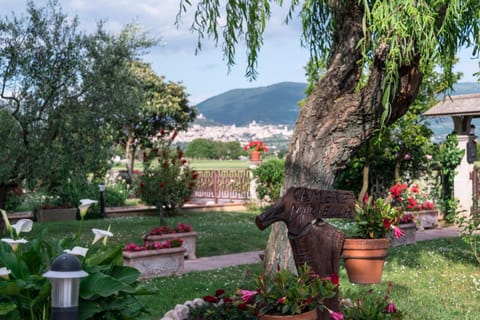 Garden, City view, Landmark view