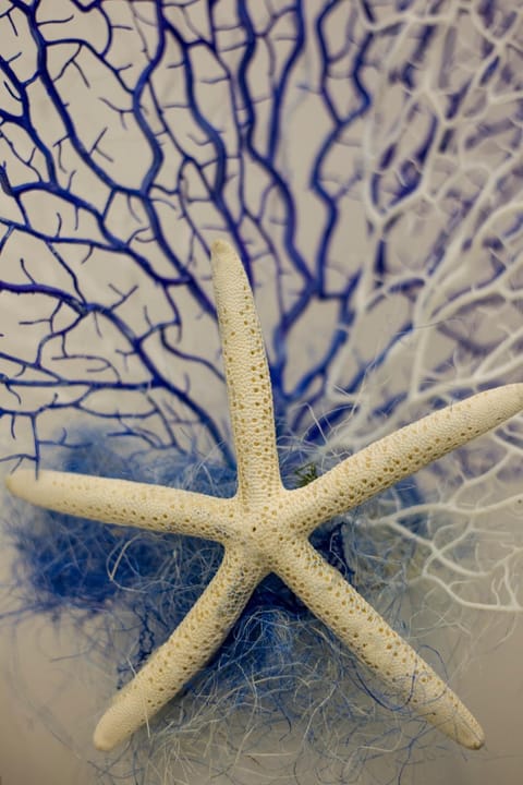 Capri Blue Apartment in Marina Grande