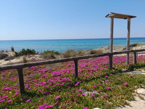 Natural landscape
