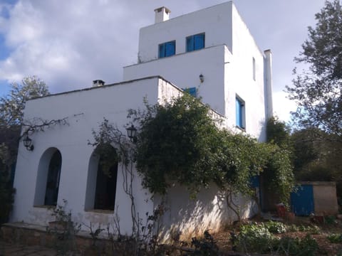 Property view