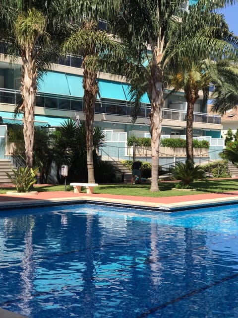Swimming pool, Swimming pool