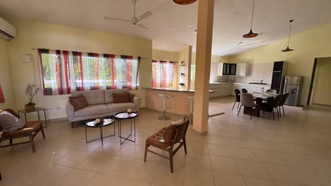 Kitchen or kitchenette, Living room, Dining area, air conditioner