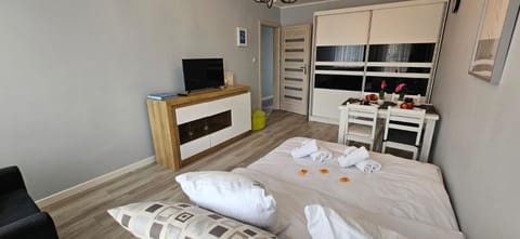 Bed, TV and multimedia, Living room, Seating area, wardrobe