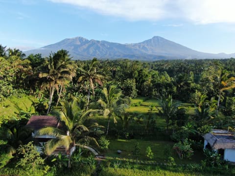 View (from property/room), Garden view, Mountain view